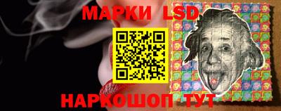 гидропоника Ставрополь