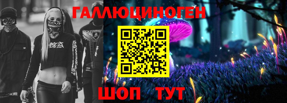 Галлюциногенные грибы Cubensis Отрадный